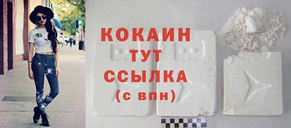 индика Наволоки