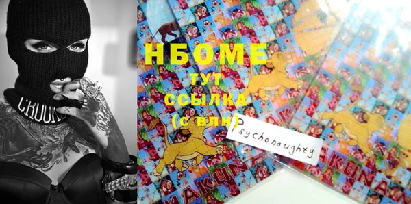 мдпв Надым