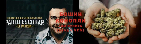 тгк Майский