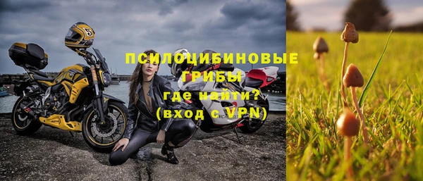 мяу мяу мука Михайлов