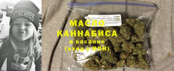 индика Наволоки
