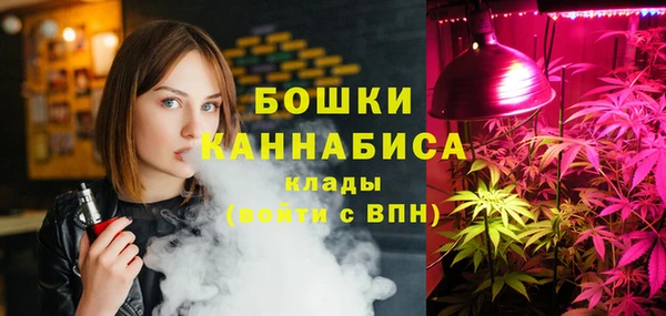 мдпв Надым