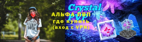 мяу мяу мука Михайлов