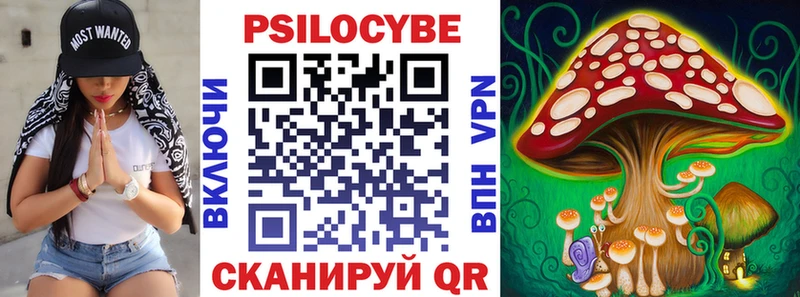 Псилоцибиновые грибы Cubensis  дарк нет состав  Рыбинск 