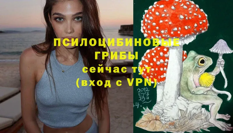 Галлюциногенные грибы Psilocybine cubensis  блэк спрут зеркало  Рыбинск 