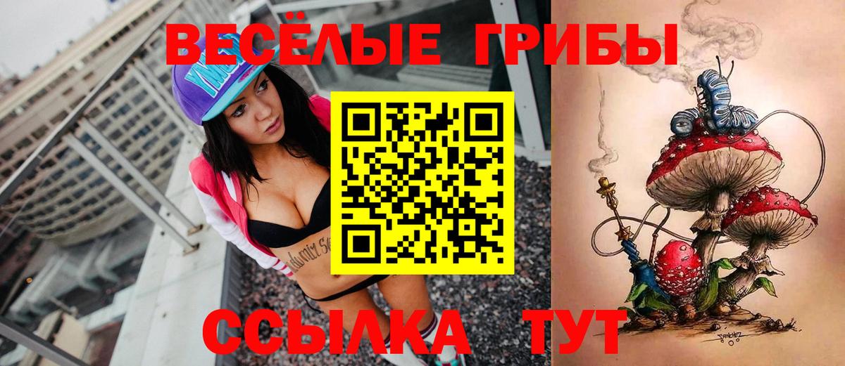 Галлюциногенные грибы прущие грибы  Псилоцибиновые грибы мицелий  Рыбинск  Вход с VPN 